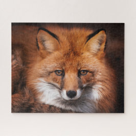 Puzzle Animal de Red Fox Wild Woodland