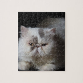 Puzzle animal, gato, blanco, mascota, gatito, aislado, li