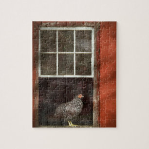 Puzzle Animal - Pájaro - Pollo en una ventana