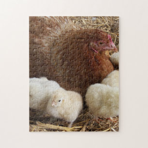 Puzzle animal, pollito, pollo, granja, lindo, pájaro, beb