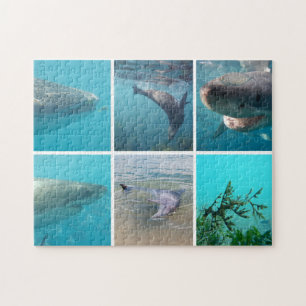 Puzzle Animales australianos niños de Collage de fotos su