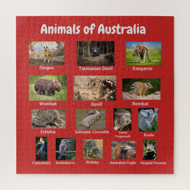 Puzzle Animales de Australia (Vertical)
