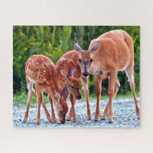 Puzzle Animales de bebé más afectados Amanecer con bebé