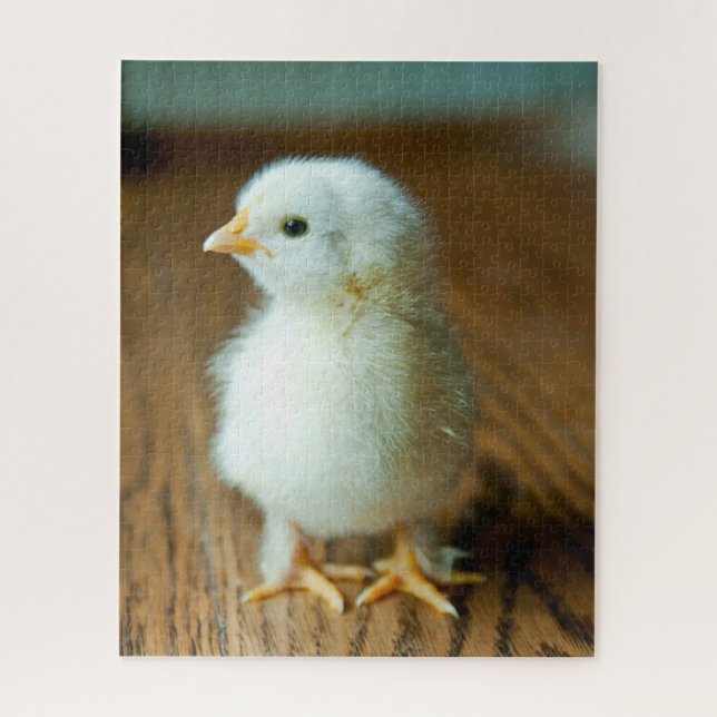 Puzzle Animales de bebé más afectados | Baby Chick (Vertical)
