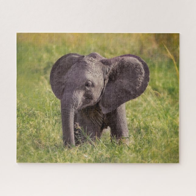 Puzzle Animales de bebé más afectados | Baby Elephant Ken (Horizontal)
