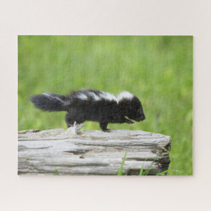 Puzzle Animales de bebé más afectados   Baby Skunk