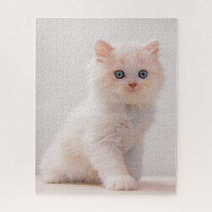 Puzzle Animales de bebé más afectados   Blue Eye Kitten