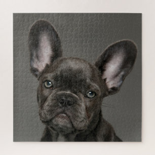 Puzzle Animales de bebé más afectados Bulldog francés