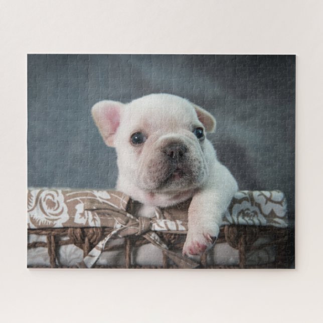 Puzzle Animales de bebé más afectados | Bulldog francés (Horizontal)