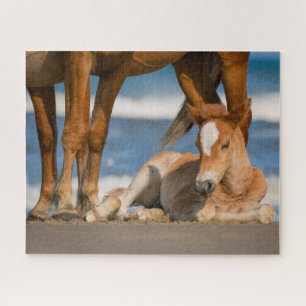 Puzzle Animales de bebé más afectados   Caballo salvaje C