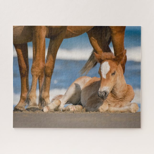 Puzzle Animales de bebé más afectados | Caballo salvaje C (Horizontal)