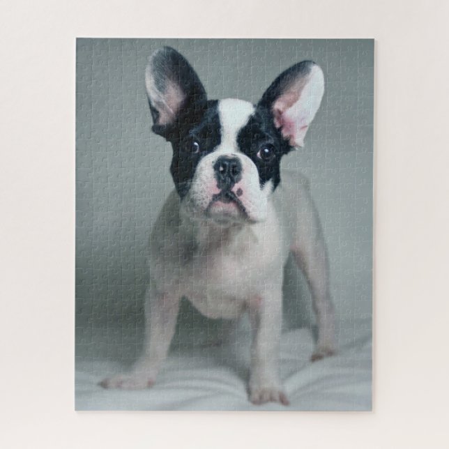 Puzzle Animales de bebé más afectados | Cachorro de Bulld (Vertical)