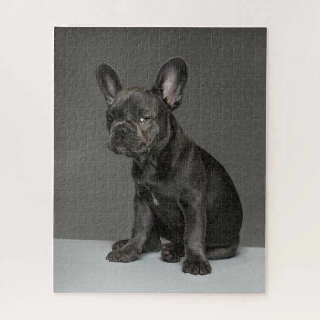 Puzzle Animales de bebé más afectados | Cachorro de Bulld (Vertical)
