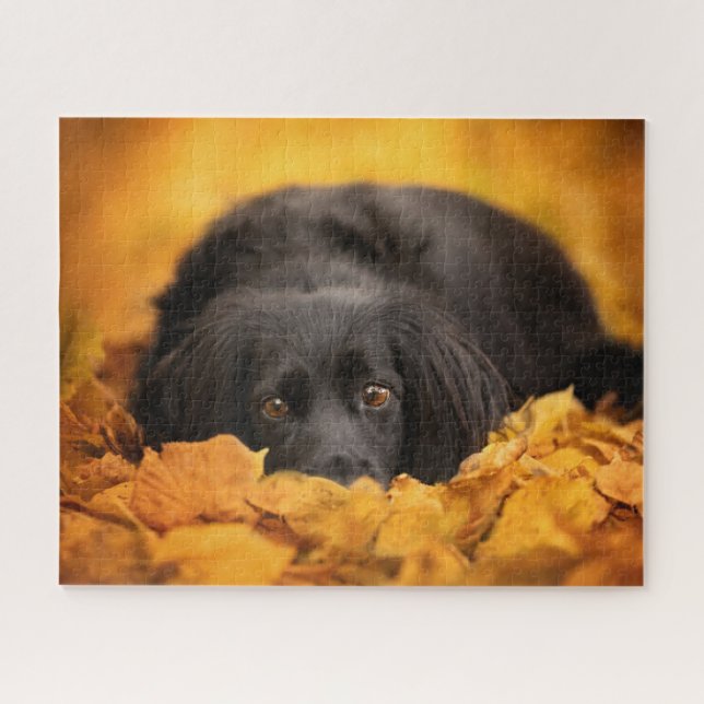 Puzzle Animales de bebé más afectados | Cachorro español  (Horizontal)