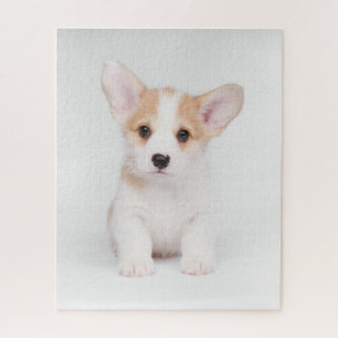 Puzzle Animales de bebé más afectados Cachorros de Corg