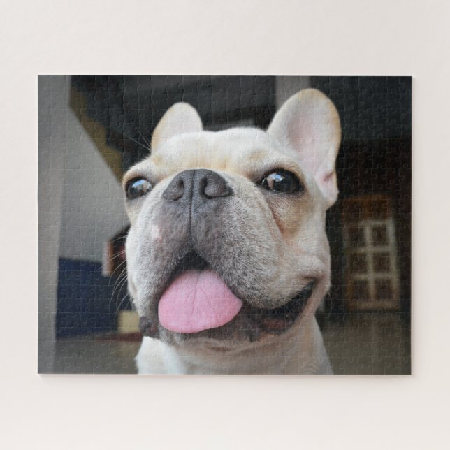 Puzzle Animales de bebé más afectados | Cara de Bulldog f (Horizontal)