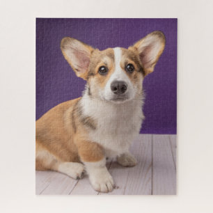 Puzzle Animales de bebé más afectados Corgi Puppy sobre