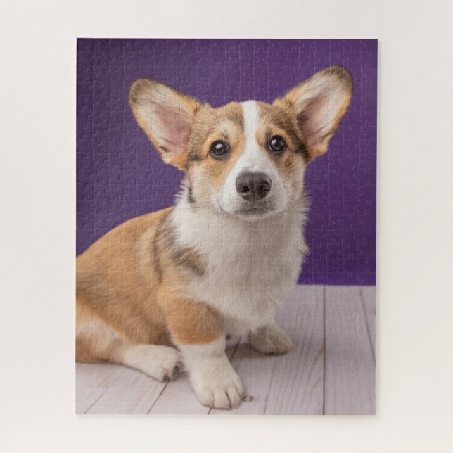 Puzzle Animales de bebé más afectados | Corgi Puppy sobre (Vertical)