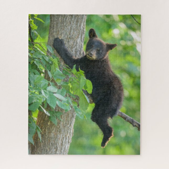 Puzzle Animales de bebé más afectados | Cubo de oso negro (Vertical)