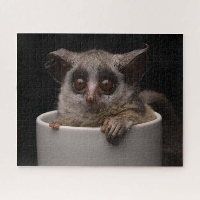 Puzzle Animales de bebé más afectados | Cute Bushbaby (Horizontal)