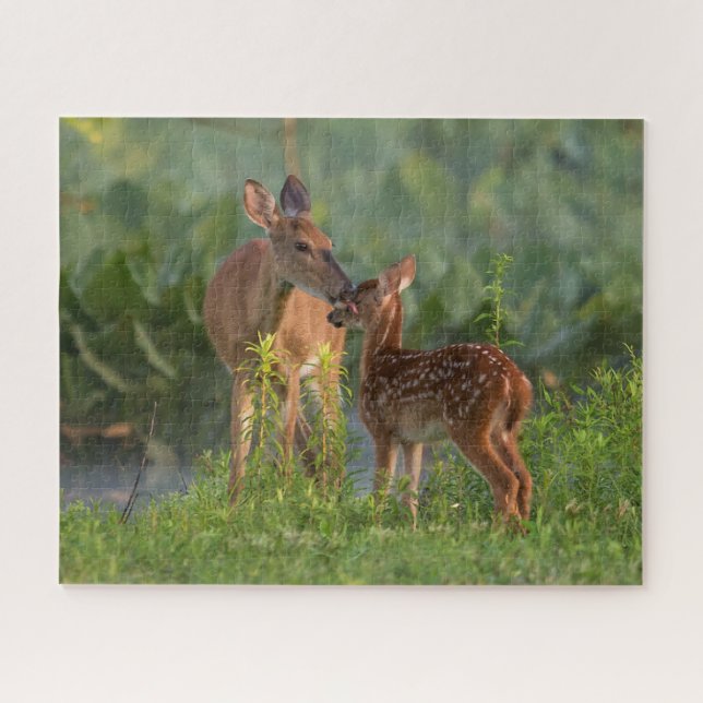 Puzzle Animales de bebé más afectados | Deer y bebé (Horizontal)