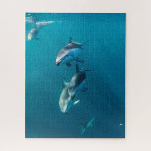 Puzzle Animales de bebé más afectados Dolphin Family