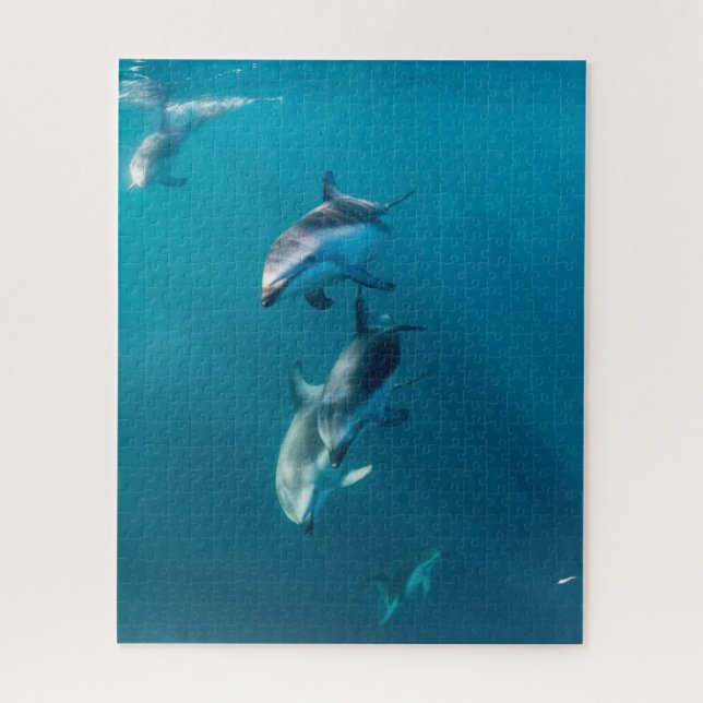 Puzzle Animales de bebé más afectados | Dolphin Family (Vertical)