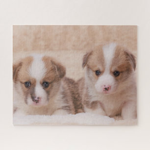 Puzzle Animales de bebé más afectados Dos Cachorros Cor