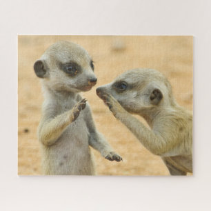 Puzzle Animales de bebé más afectados   Dos Merkats Jóven