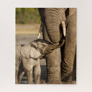 Puzzle Animales de bebé más afectados   Elefante bebé y m