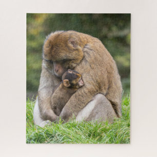 Puzzle Animales de bebé más afectados   Familia Barbary M