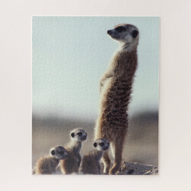 Puzzle Animales de bebé más afectados | Familia de Meerka (Vertical)