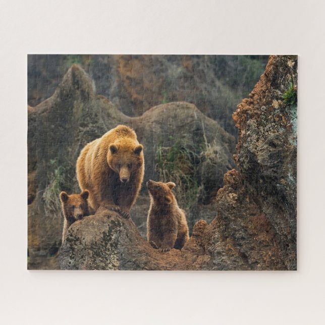 Puzzle Animales de bebé más afectados | Familia de oso ma (Horizontal)