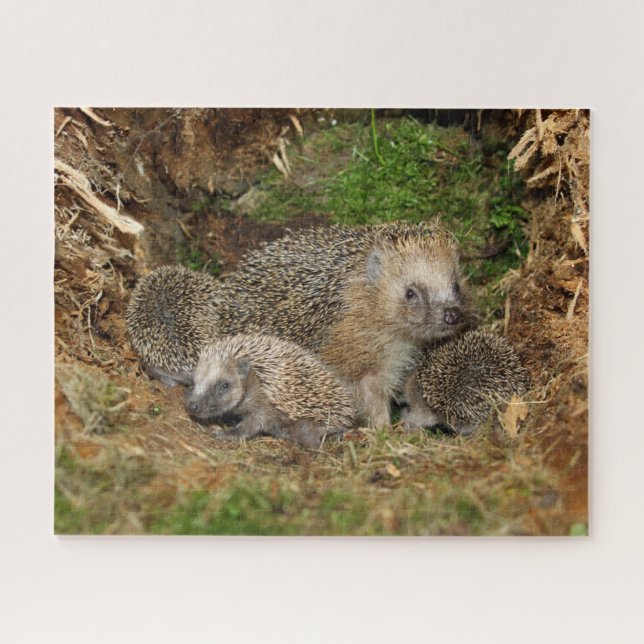 Puzzle Animales de bebé más afectados | Familia Hedgehog (Horizontal)