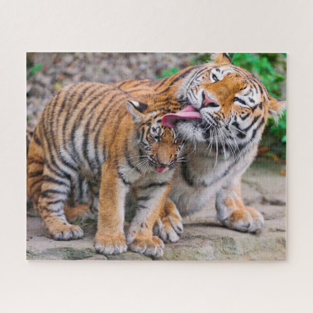 Puzzle Animales de bebé más afectados | Familia Tigre sib (Horizontal)
