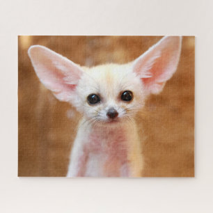 Puzzle Animales de bebé más afectados Fennec Fox