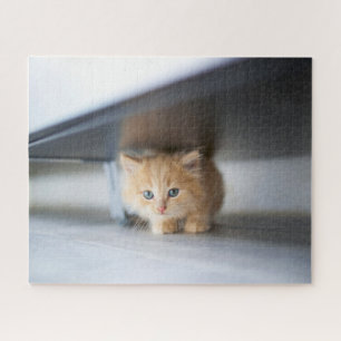 Puzzle Animales de bebé más afectados Fluffy Naranja Ki