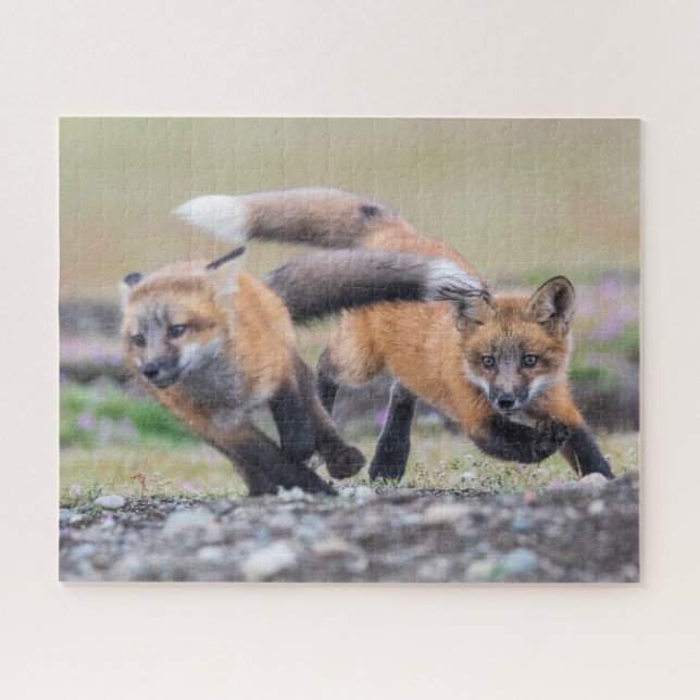 Puzzle Animales de bebé más afectados | Fox Pups en juego (Horizontal)