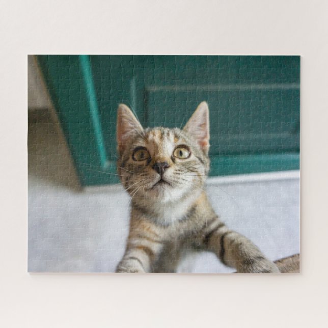 Puzzle Animales de bebé más afectados | Gatita Cuta Tabby (Horizontal)