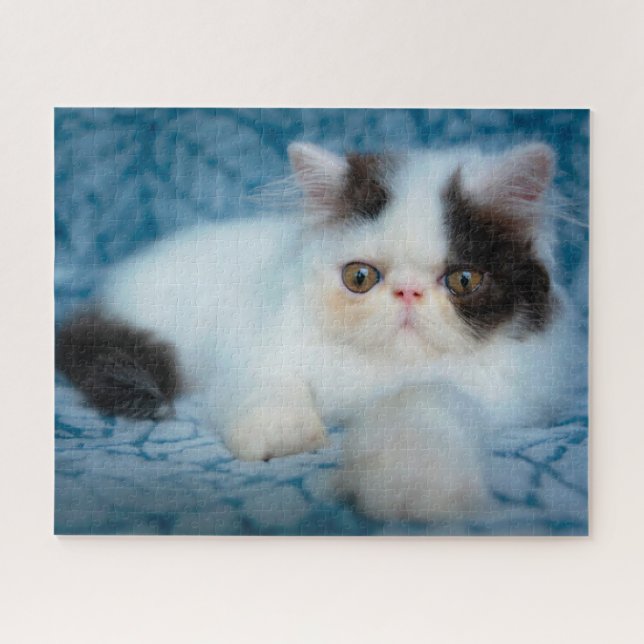 Puzzle Animales de bebé más afectados | Gatito blanco y n (Horizontal)