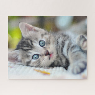 Puzzle Animales de bebé más afectados   Gatito Con Ojos A