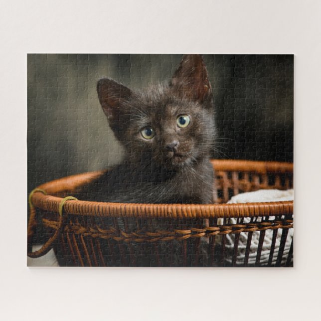 Puzzle Animales de bebé más afectados | Gatito en canasta (Horizontal)