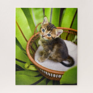 Puzzle Animales de bebé más afectados Gatito en canasta
