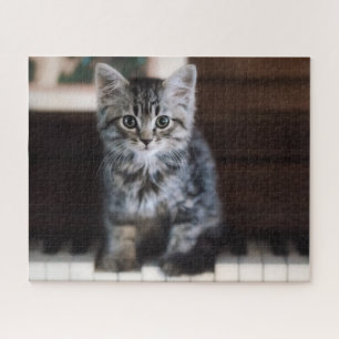 Puzzle Animales de bebé más afectados   Gatito en llaves 