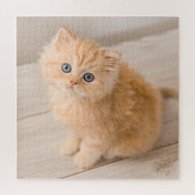 Puzzle Animales de bebé más afectados | Gatito Longhair B (Vertical)