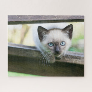 Puzzle Animales de bebé más afectados   Gatito siamés 2