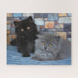 Puzzle Animales de bebé más afectados Gatitos persas en