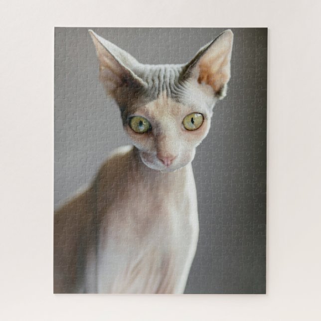 Puzzle Animales de bebé más afectados | Gato de esfinge (Vertical)