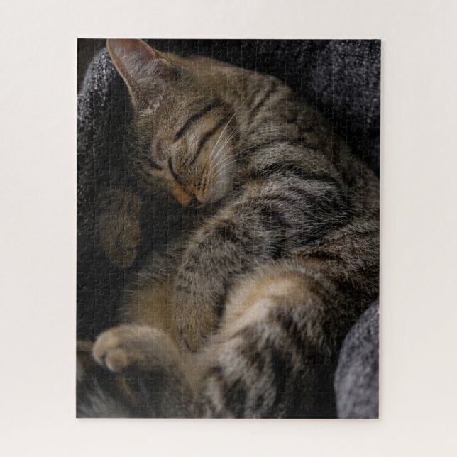 Puzzle Animales de bebé más afectados | Gato de Tabby dur (Vertical)