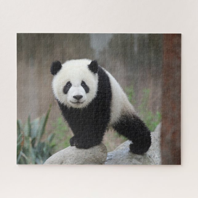 Puzzle Animales de bebé más afectados | Gigante Panda Bab (Horizontal)